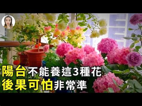 面東陽台植物